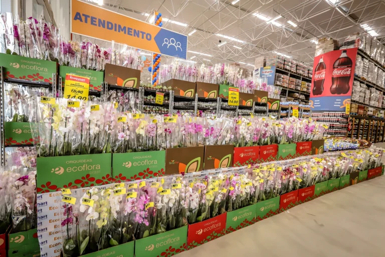 POCOS DE CALDAS 4 768x512